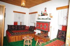 Panoraia's Traditional House Métsovon